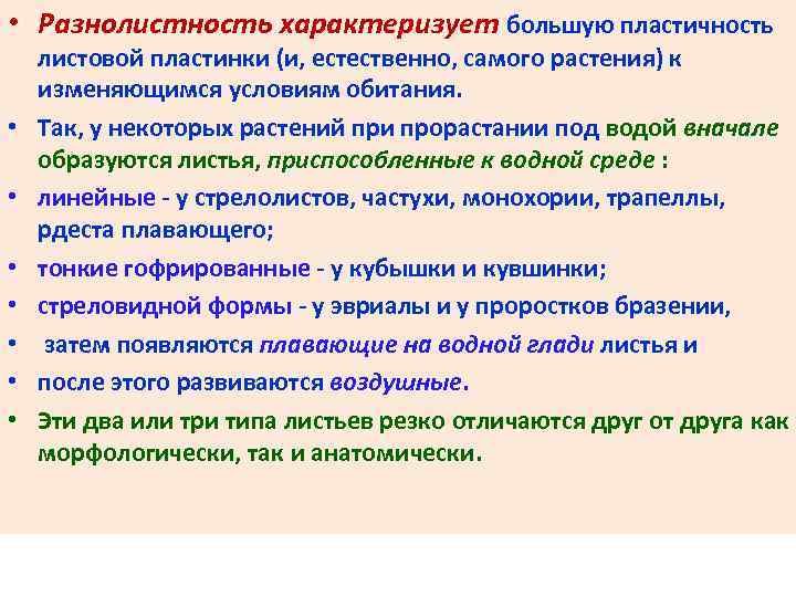  • Разнолистность характеризует большую пластичность • • листовой пластинки (и, естественно, самого растения)