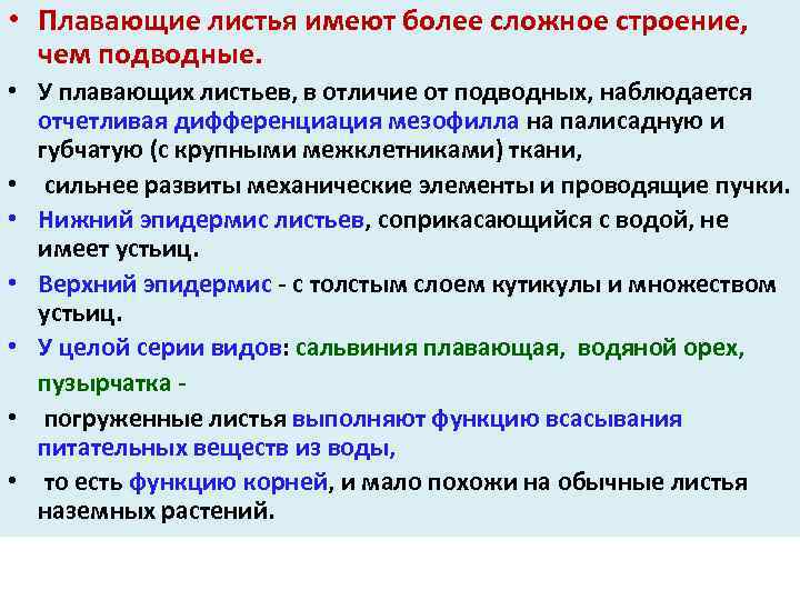  • Плавающие листья имеют более сложное строение, чем подводные. • У плавающих листьев,