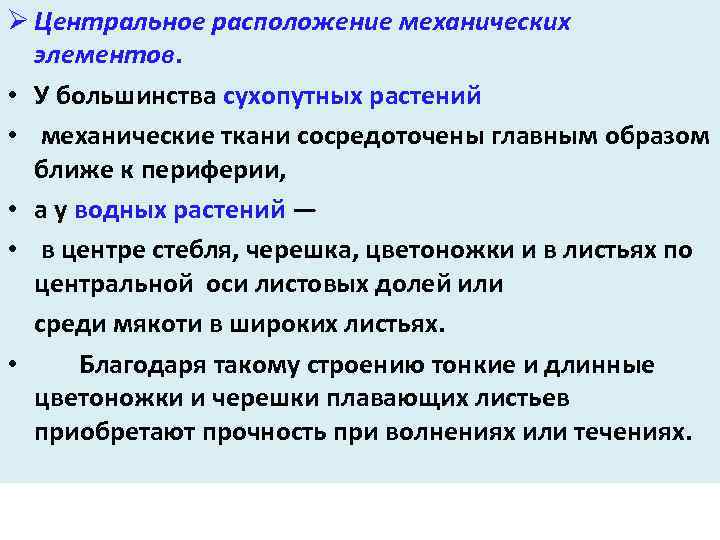 Ø Центральное расположение механических элементов. • У большинства сухопутных растений • механические ткани сосредоточены