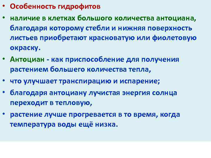  • Особенность гидрофитов • наличие в клетках большого количества антоциана, благодаря которому стебли