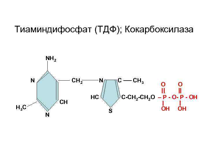 Тиаминдифосфат (ТДФ); Кокарбоксилаза NH 2 N H 3 C CH 2 СН N N