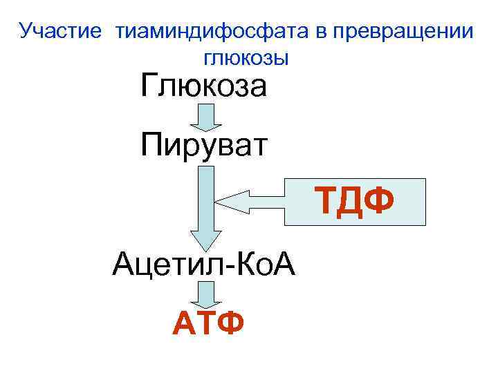 Участие тиаминдифосфата в превращении глюкозы Глюкоза Пируват ТДФ Ацетил-Ко. А АТФ 