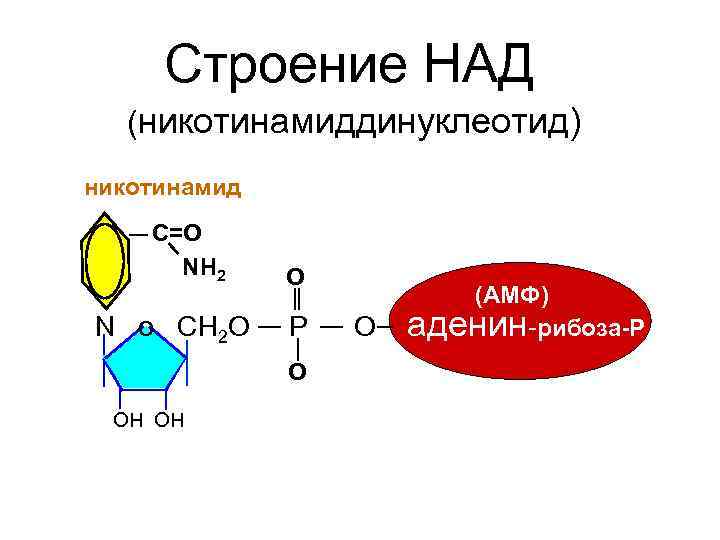 Состав над