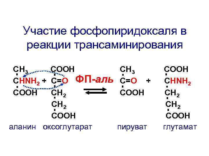 Участие фосфопиридоксаля в реакции трансаминирования СН 3 СООН СНNH 2 + C=О ФП-аль СООН