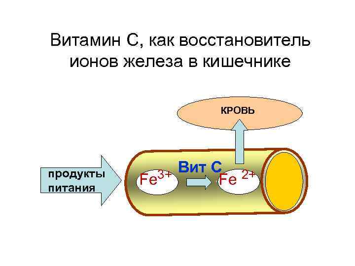 Витамин С, как восстановитель ионов железа в кишечнике КРОВЬ продукты питания Fe 3+ Вит