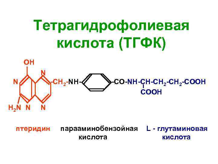 Тетрагидрофолиевая кислота (ТГФК) OH N N H 2 N N -СН 2 -NH- -CО-NH-CH-CH