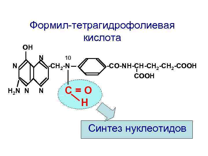 Синтез н. Строение тетрагидрофолиевой кислоты. N10-формил-тетрагидрофолата. Тетрагидрофолат Синтез. Тетрагидрофолиевая кислота Синтез нуклеотидов.