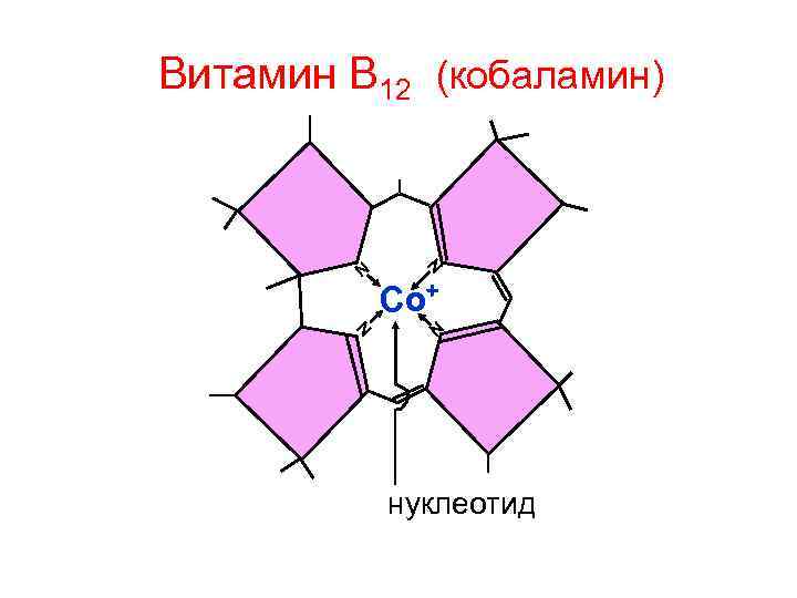 Витамин В 12 (кобаламин) N N Со+ N N нуклеотид 