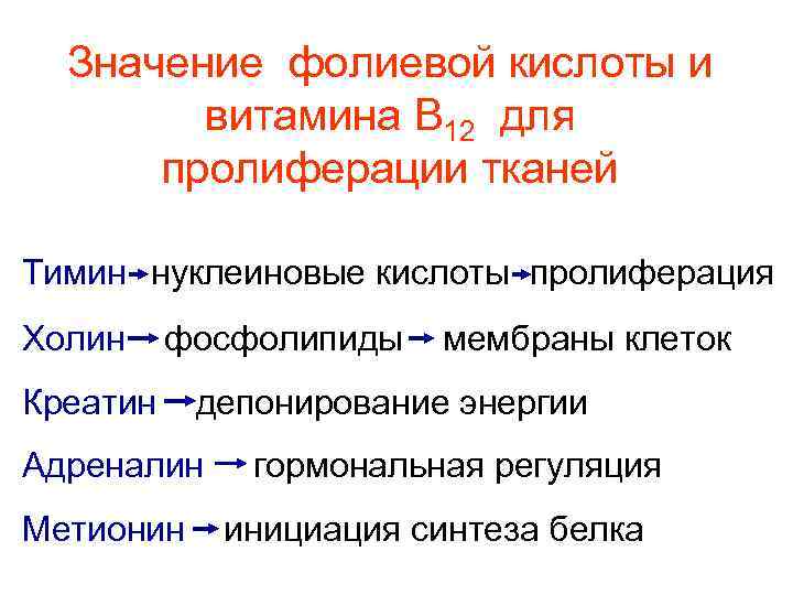 Значение фолиевой кислоты и витамина В 12 для пролиферации тканей Тимин нуклеиновые кислоты пролиферация