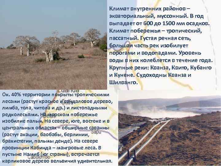 Климат внутренних районов – экваториальный, муссонный. В год выпадает от 600 до 1500 мм