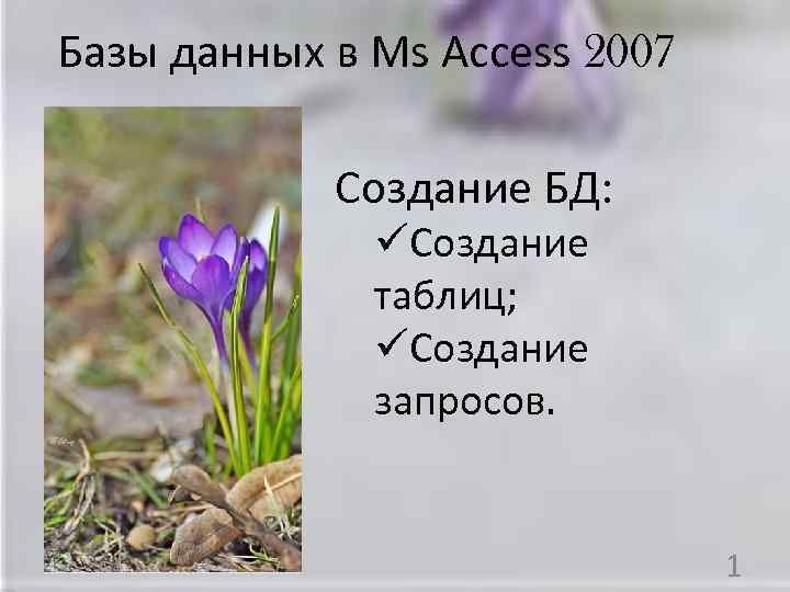 Базы данных в Ms Access 2007 Создание БД: üСоздание таблиц; üСоздание запросов. 1 