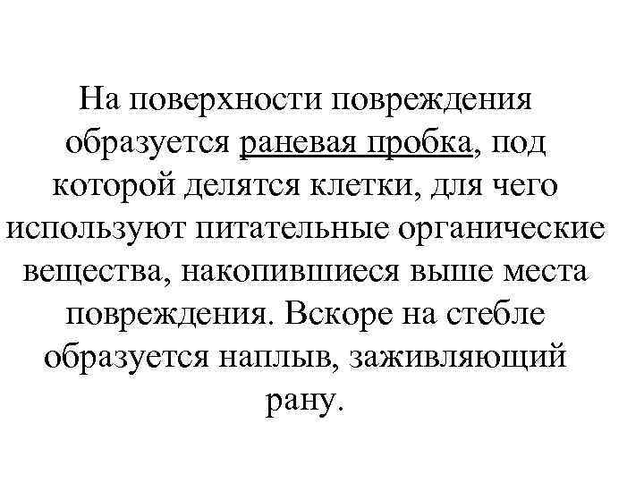На поверхности повреждения образуется раневая пробка, под которой делятся клетки, для чего используют питательные