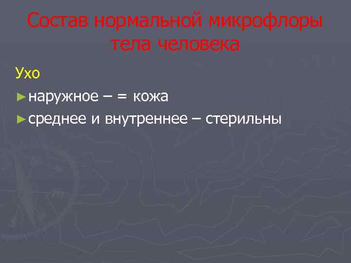 Состав нормальной микрофлоры тела человека Ухо ► наружное – = кожа ► среднее и