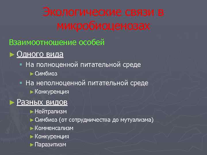 Экология микроорганизмов презентация