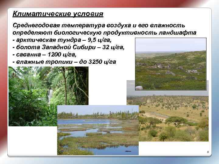 Климатические условия Среднегодовая температура воздуха и его влажность определяют биологическую продуктивность ландшафта - арктическая