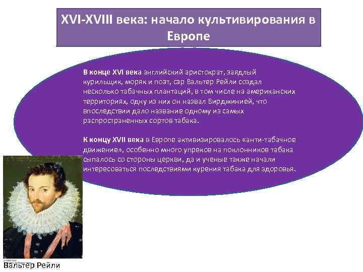 XVI-XVIII века: начало культивирования в Европе В конце XVI века английский аристократ, заядлый курильщик,