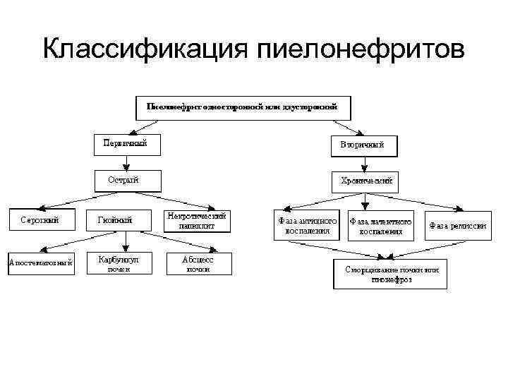 Классификация пиелонефритов 