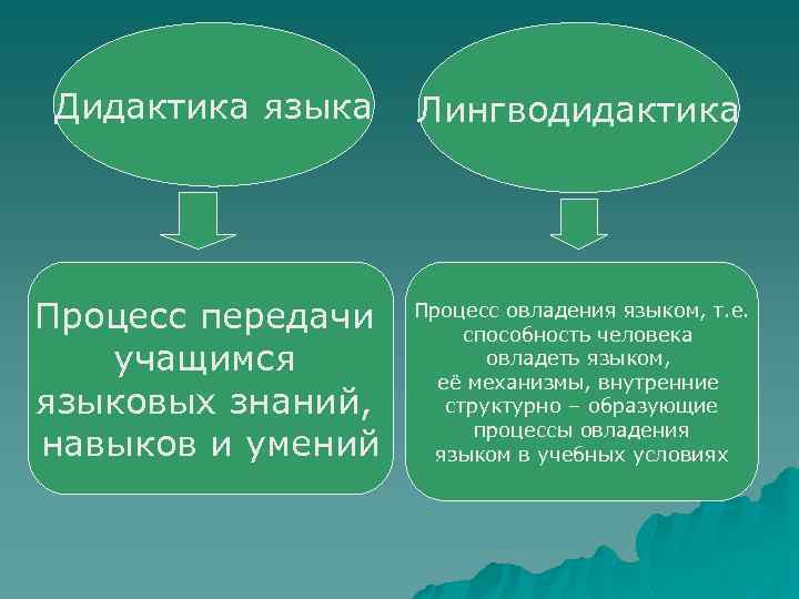 Дидактика языка Процесс передачи учащимся языковых знаний, навыков и умений Лингводидактика Процесс овладения языком,