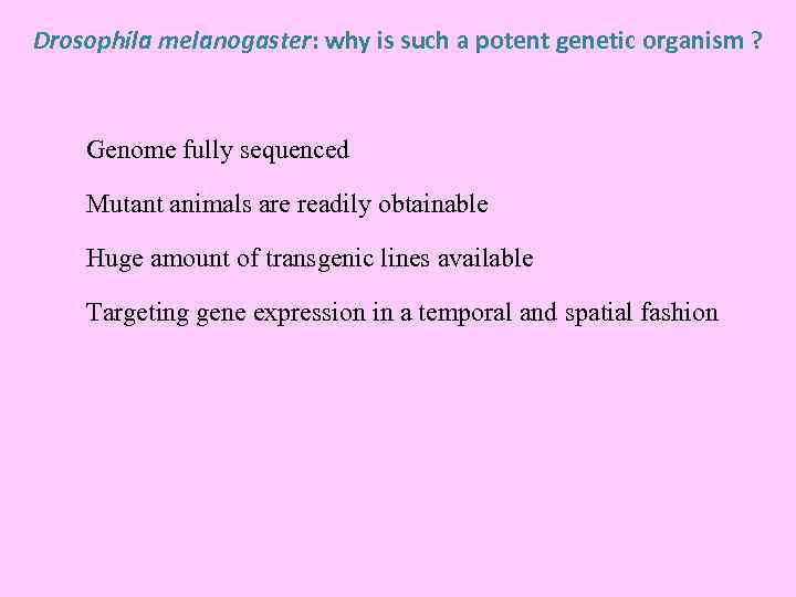 Drosophila melanogaster: why is such a potent genetic organism ? Genome fully sequenced Mutant