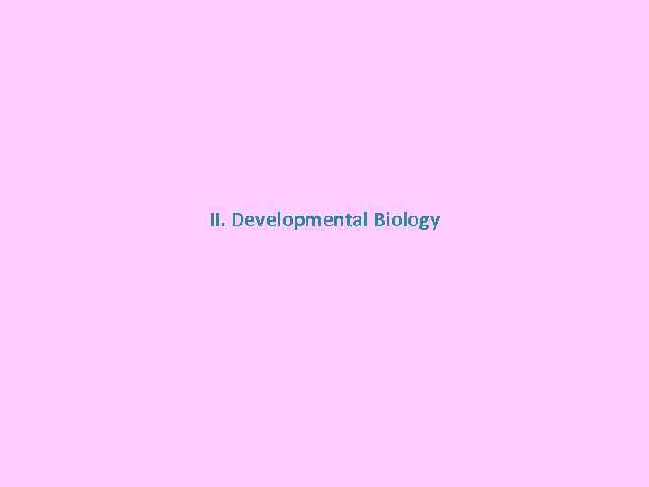 II. Developmental Biology 