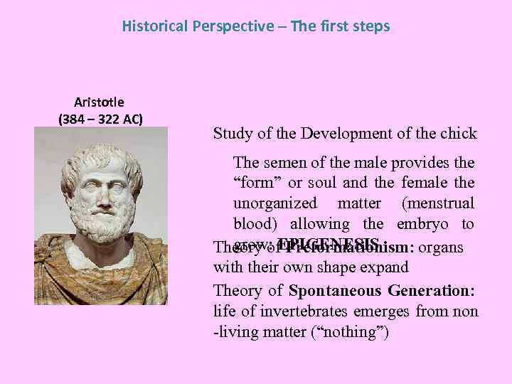 Historical Perspective – The first steps Aristotle (384 – 322 AC) Study of the