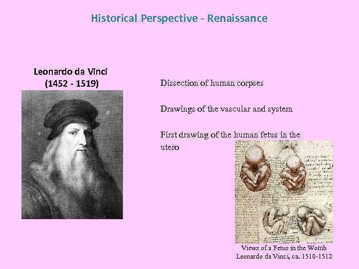 Historical Perspective - Renaissance Leonardo da Vinci (1452 - 1519) Dissection of human corpses