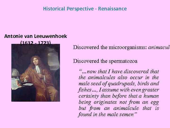 Historical Perspective - Renaissance Antonie van Leeuwenhoek (1632 - 1723) Discovered the microorganisms: animacule