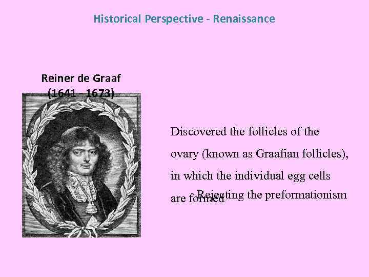 Historical Perspective - Renaissance Reiner de Graaf (1641 - 1673) Discovered the follicles of