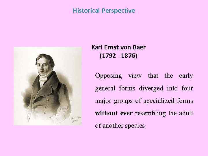 Historical Perspective Karl Ernst von Baer (1792 - 1876) Opposing view that the early