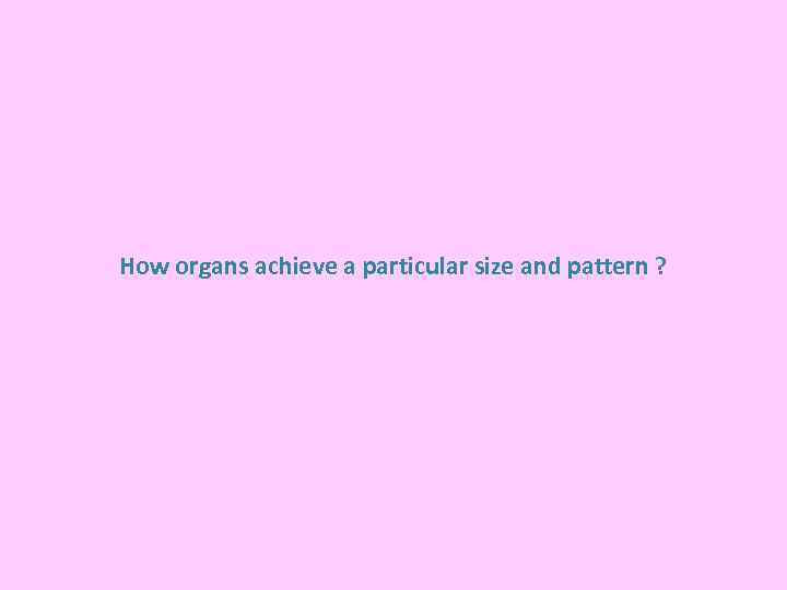 How organs achieve a particular size and pattern ? 