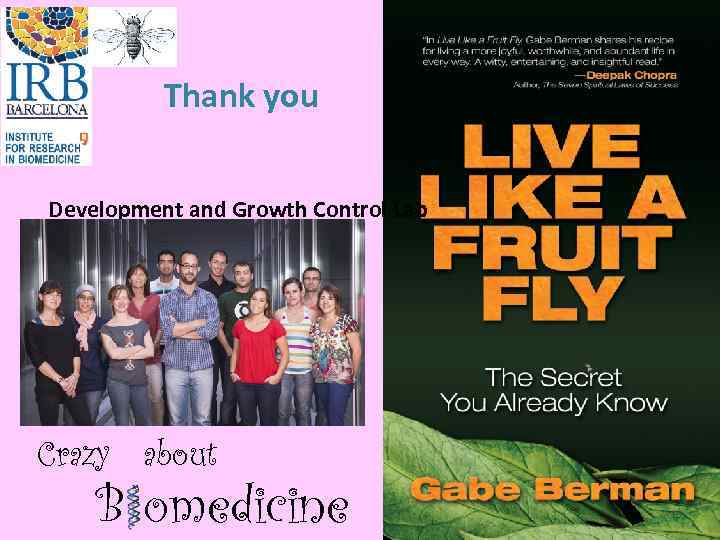 Thank you Development and Growth Control Lab Crazy about B omedicine 