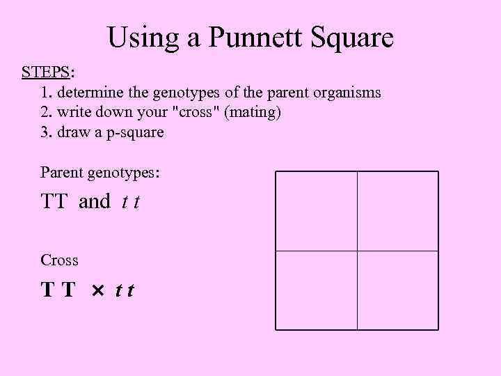 Using a Punnett Square STEPS: 1. determine the genotypes of the parent organisms 2.