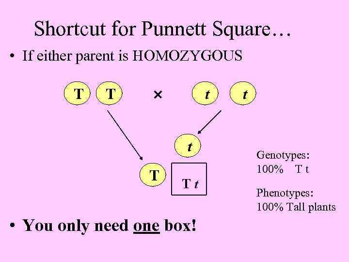 Shortcut for Punnett Square… • If either parent is HOMOZYGOUS T T t t