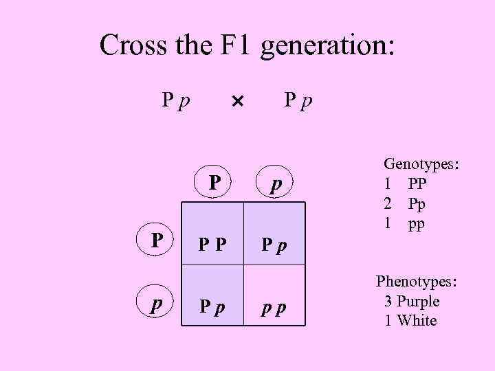 Cross the F 1 generation: Pp Pp P P p p PP Genotypes: 1