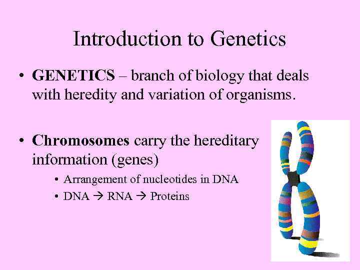 Introduction to Genetics • GENETICS – branch of biology that deals with heredity and