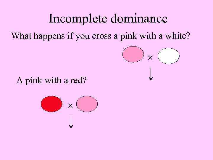 Incomplete dominance What happens if you cross a pink with a white? A pink