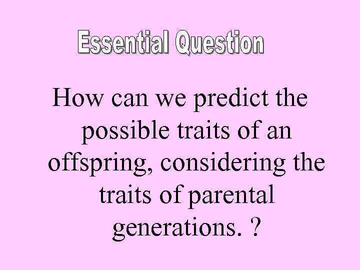 How can we predict the possible traits of an offspring, considering the traits of