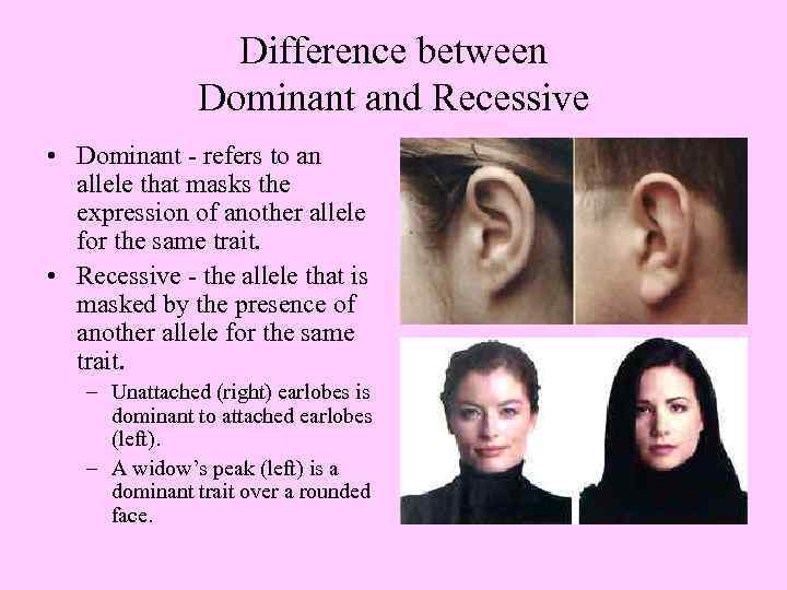 Difference between Dominant and Recessive • Dominant - refers to an allele that masks