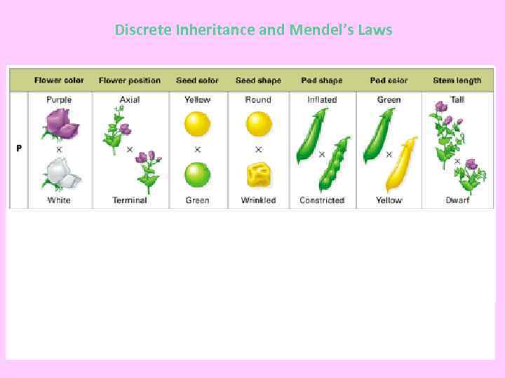 Discrete Inheritance and Mendel’s Laws 