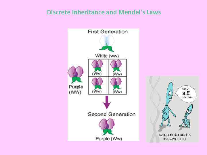 Discrete Inheritance and Mendel’s Laws 