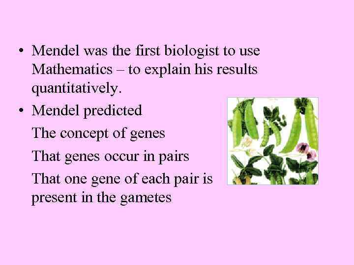  • Mendel was the first biologist to use Mathematics – to explain his