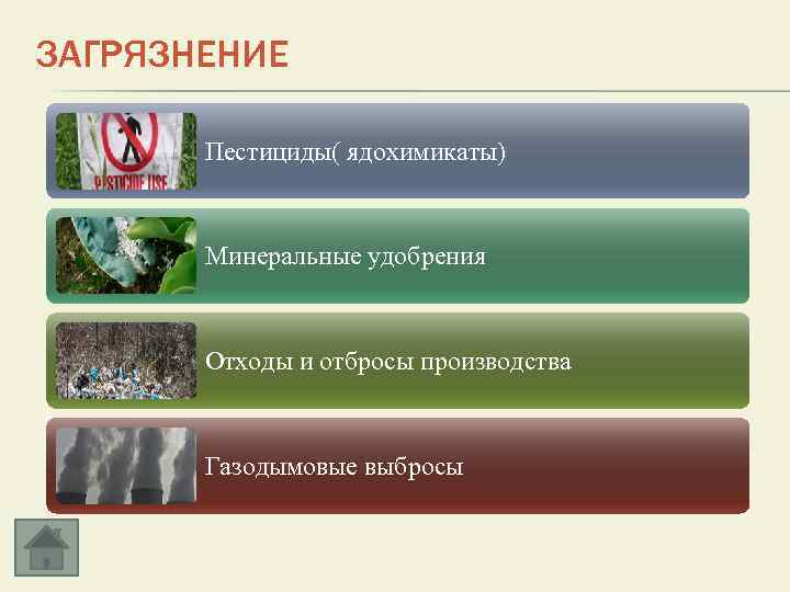 ЗАГРЯЗНЕНИЕ Пестициды( ядохимикаты) Минеральные удобрения Отходы и отбросы производства Газодымовые выбросы 