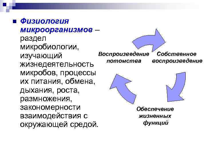 n Физиология микроорганизмов – раздел микробиологии, Воспроизведение Собственное изучающий воспроизведение потомства жизнедеятельность микробов, процессы