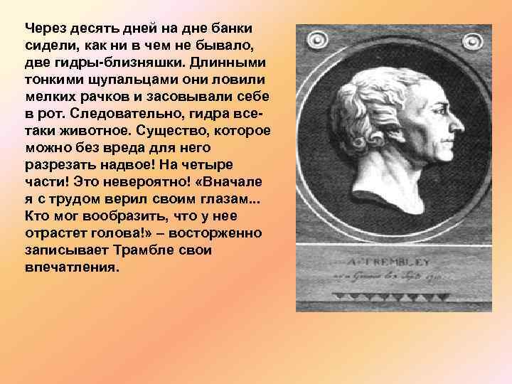 Через десять дней на дне банки сидели, как ни в чем не бывало, две