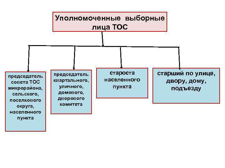 Полномочия сельского старосты