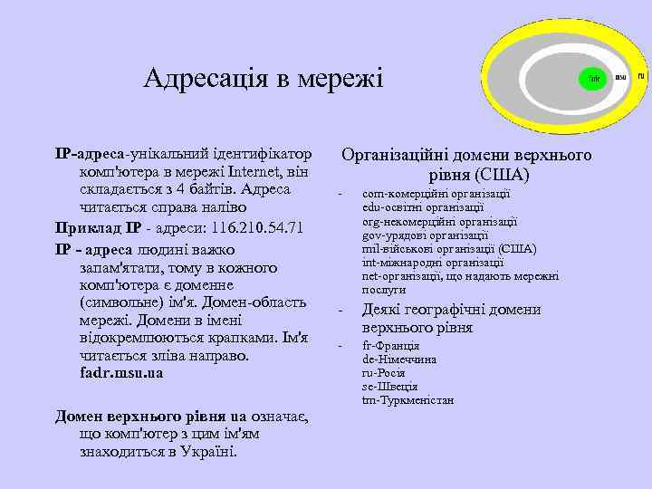 Адресація в мережі IP-адреса-унікальний ідентифікатор комп'ютера в мережі Internet, він складається з 4 байтів.