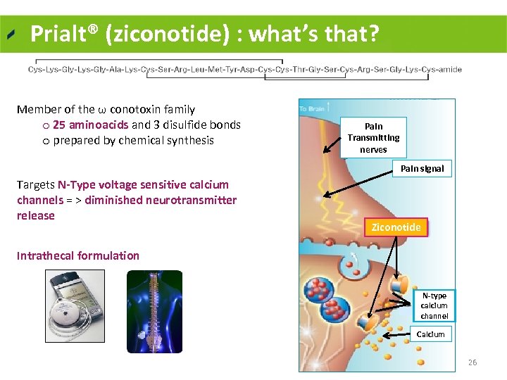 Prialt® (ziconotide) : what’s that? Member of the ω conotoxin family o 25 aminoacids