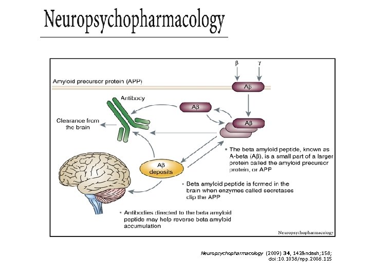 Figure 6 Neuropsychopharmacology (2009) 34, 142– 158; doi: 10. 1038/npp. 2008. 115 