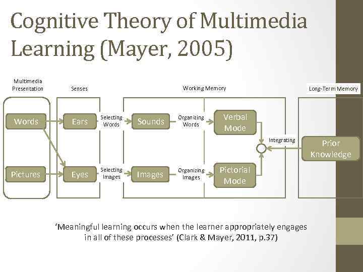 Cognitive Theory of Multimedia Learning (Mayer, 2005) Multimedia Presentation Senses Words Ears Working Memory