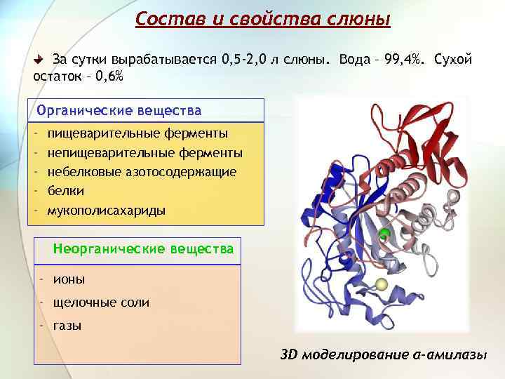 Состав и свойства слюны За сутки вырабатывается 0, 5 -2, 0 л слюны. Вода